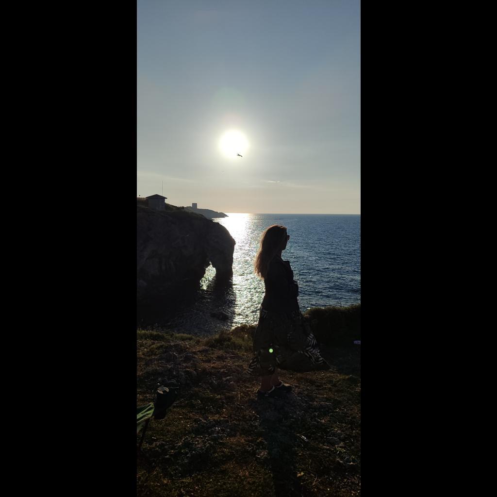 Su içen fil