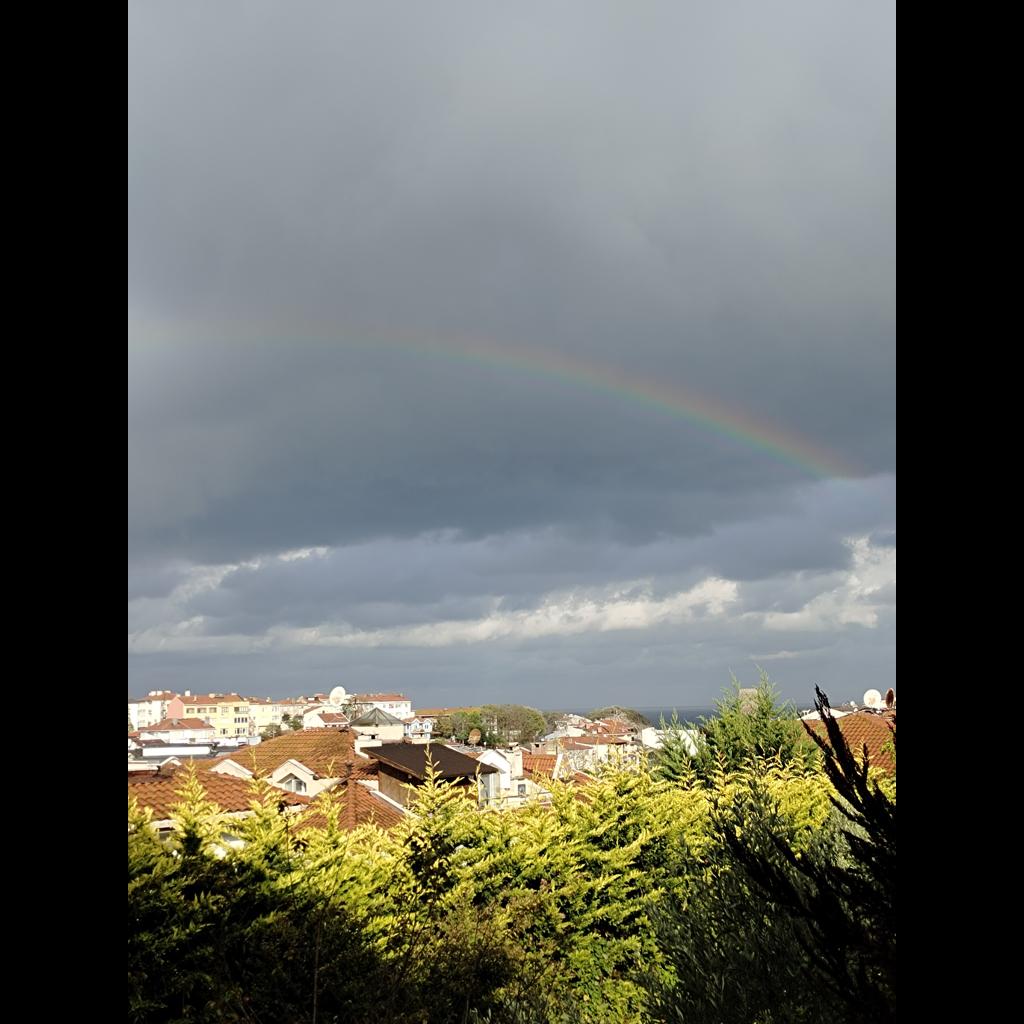 🌈